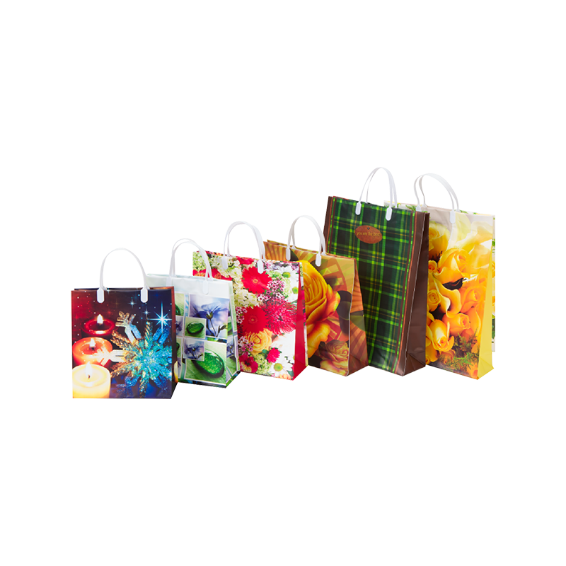 Plastic Gift Bags