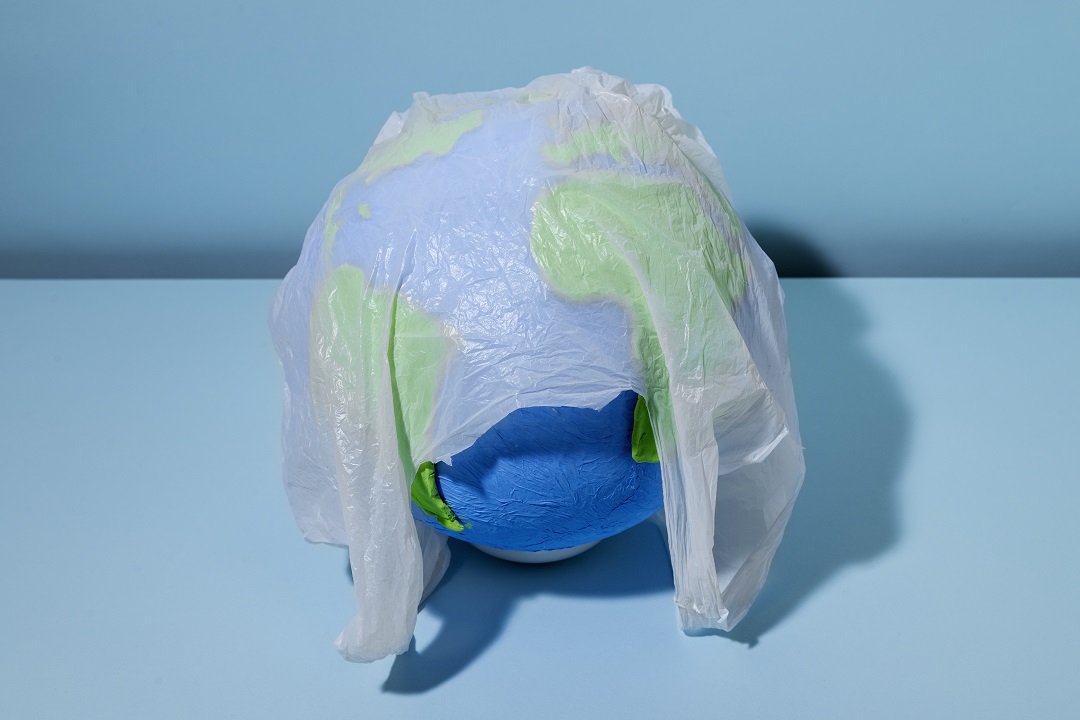 Biodegradable Bags - A Comprehensive Guide to International Compliance and Certification